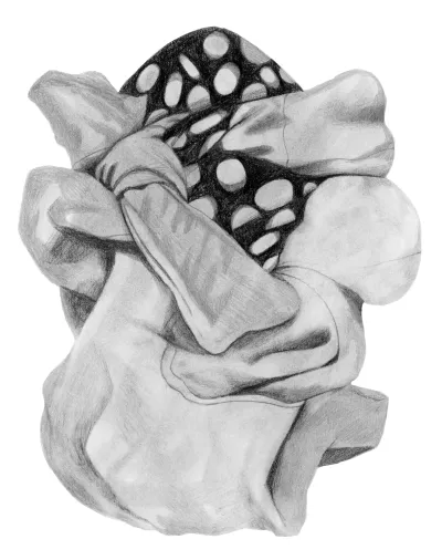 Dot Twist
